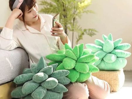 Julia M Home & Kitchen Succulent Plush Pillow Collection 🌵 Hot on Sale