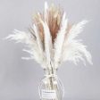 Natural Dried Pampas Grass Bouquet Sale