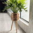 Julia M Lifestyles Indonesian Rattan Flower Shelf Fashion