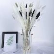 Natural Dried Pampas Grass Bouquet Sale