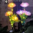 Solar Flower Lights: 2-Pack Outdoor Waterproof LED Garden Decor For Sale