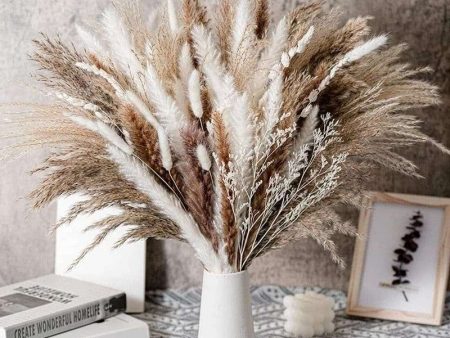 Natural Dried Pampas Grass Bouquet Sale