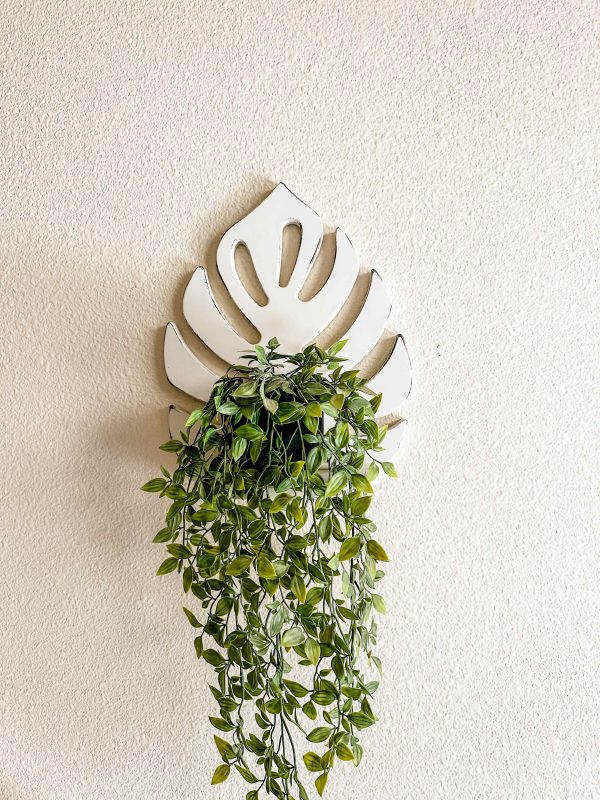 Most popular! Monstera shelf - more colors Hot on Sale