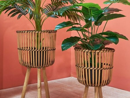 Wooden Rattan Flower Stand with Minimalist Design for Indoor Flower Pots & Green Plants on Sale